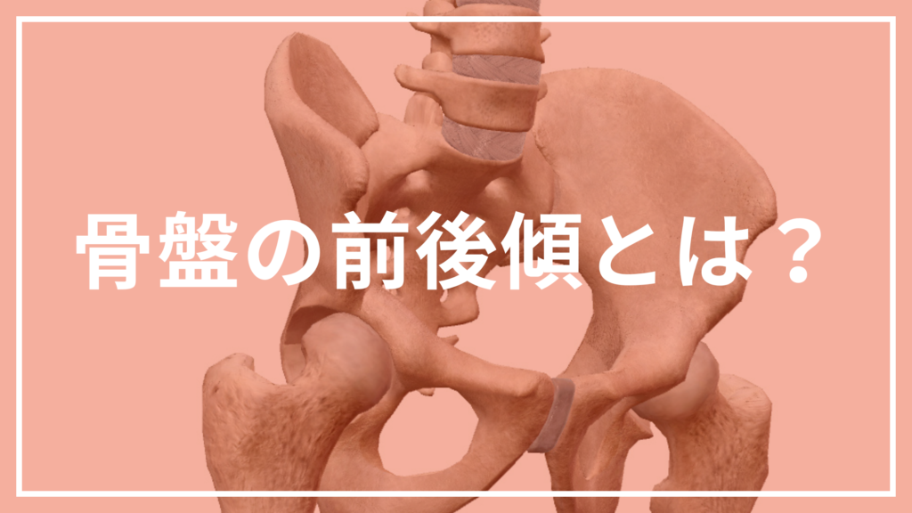 骨盤の前後傾とは？ - Handmade Fitness